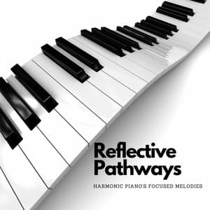 Reflective Pathways: Harmonic Piano's Focused Melodies - Tate Jackson Trio
