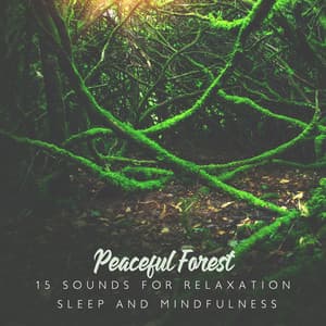 Peaceful Forest – 15 Sounds for Relaxation, Sleep and Mindfulness - Soothing Music Specialists