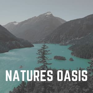 Natures Oasis - The Water Sleepers
