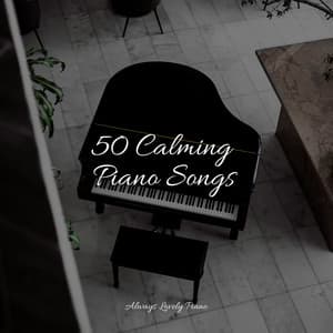 Calm & Steady Songs - Relaxar Piano Musicas Coleção