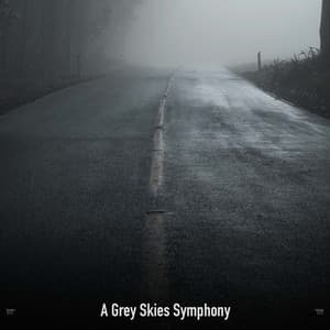 !!!!" A Grey Skies Symphony "!!!! - Sonidos De Truenos y Lluvia