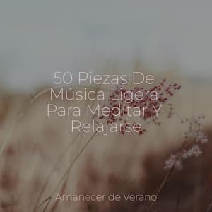 50 Piezas De Música Ligera Para Meditar Y Relajarse - Rising Higher Meditation