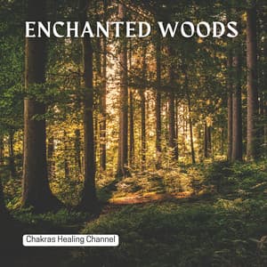 Enchanted Woods: Shamanic Journey - Chakras Healing Channel