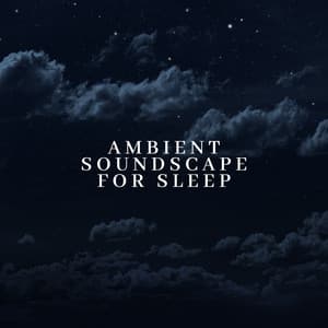 Ambient Soundscape for Sleep: Sleep Well and Peacefully, Quiet Night, Pad BGM - Deep Sleep Maestro Sounds