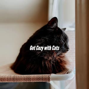 Get Cozy with Cats - Late Night Jazz Lounge