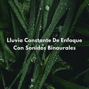Lluvia Constante De Enfoque Con Sonidos Binaurales - La Mente Binaural