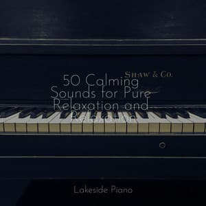 50 Calming Sounds for Pure Relaxation and Relaxation - SD