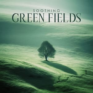 Soothing Green Fields: Celtic Instrumental Ballads - Irish Celtic Music