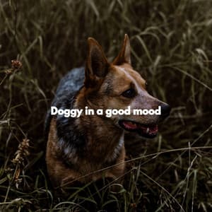 Doggy in a good mood - Puppy Music