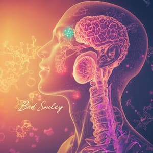 432 Hz: Alpha Waves Heal the Whole Body - Emotional & Physical, Remove Negative Energy Miracle - Bud Souley