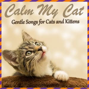 Calm My Cat - Gentle Songs for Cats and Kittens - RelaxMyCat