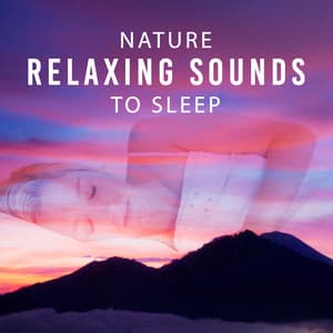 Nature Relaxing Sounds to Sleep – New Age Dreaming, Sleep Well, Music to Rest, Relaxing Soft Sounds - Relaxing Sounds Of Nature