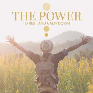 The Power to Rest and Calm Down - Anti Stress Music Zone