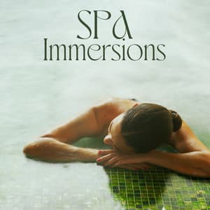 Spa Immersions: Chilled Spa and Wellness Music, Massage Therapy, Relaxation Treatment - Therapy Spa Music Paradise