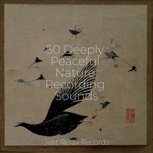 50 Deeply Peaceful Nature Recording Sounds - Musica Romantica