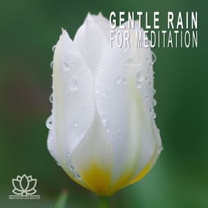 Gentle Rain for Meditation - Meditation Zen Master