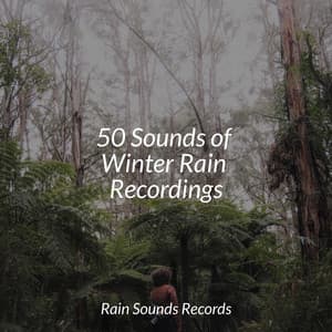 50 Sounds of Winter Rain Recordings - Relaxing Mindfulness Meditation Relaxation Maestro
