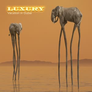 Luxury Vacation in Dubai - Relaxing Arabian Style Chillout Music, Golden Beaches, Expensive Yachts, City of Millionaires, Persian Prince, Earth Paradise - Sunset Chill Out Music Zone