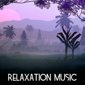 Relaxation Music - Relaxing Mindfulness Meditation Relaxation Maestro