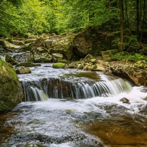 River Lullabies: Gentle Soothing Waters - River Sound for Sleep