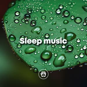Sleep Music - Rain Recordings