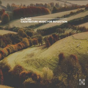 Calm Nature Music for Reflection - Nature Sounds Artists