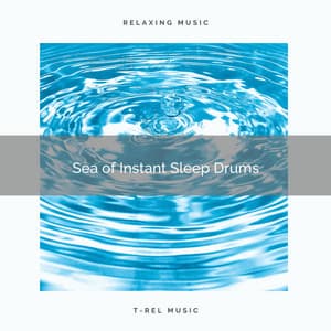2021: Sea of Instant Sleep Drums - Ocean Sounds