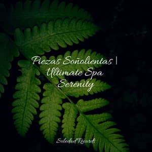Piezas Soñolientas | Ultimate Spa Serenity - Massagem Música