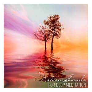 Nature Sounds for Deep Meditation: Songs Birds and Forest Ambience, Calming & Healing Music - Piano Virtuo