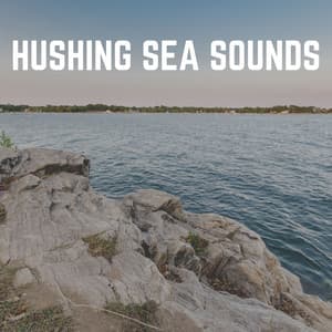 Hushing Sea Sounds - Stress Relief Calm Oasis