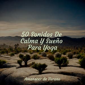 50 Sonidos De Calma Y Sueño Para Yoga - kinderliedjes