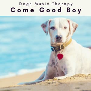4 Dogs: Come Good Boy - Dogs Music Therapy