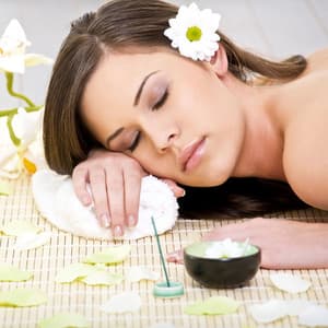 Enchanted Forest: A Serene Nature Spa with Birdsong - Nature & Rainforest Sounds Collective