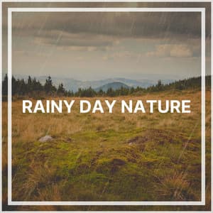 Rainy Day Nature - The Sound Of The Rain
