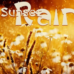 Sunset Rain: Calming Water Sounds, Chirping Birds, Peaceful Instrumental - Serenity Nature Sounds Academy