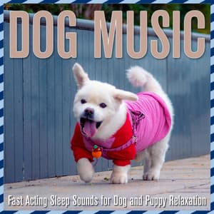 Dog Music: Fast Acting Sleep Sounds for Dog and Puppy Relaxation - Pet Music Therapy