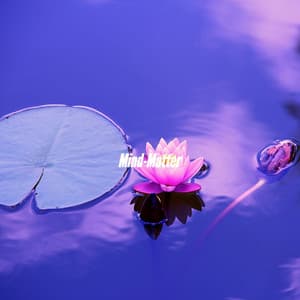 Mind-Matter - Jazz Suave