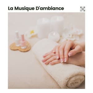 La musique d'ambiance - Sérénité Musique Spa