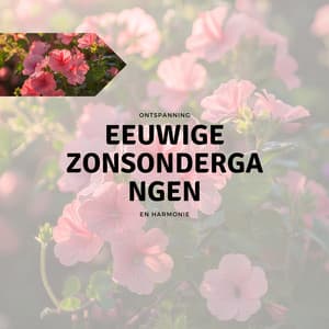 Eeuwige Zonsondergangen - Ontspanning en Harmonie