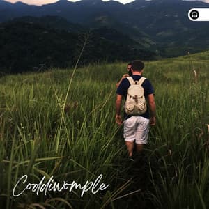 Coddiwomple - Weather Sounds