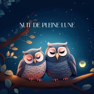 Nuit de pleine lune - Sleeping Baby Music