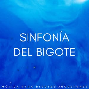 Sinfonía Del Bigote: Música Para Bigotes Juguetones - Música Tranquila