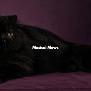 Musical Mews - Cool Jazz Relaxation
