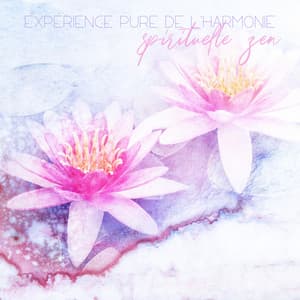 Expérience pure de l'harmonie spirituelle zen - Zone de Méditation Spirituelle