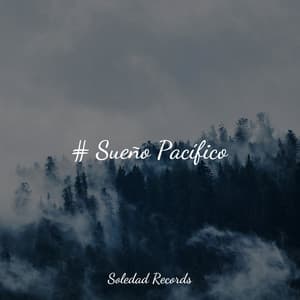 # Sueño Pacífico - Musica para Massagem Especialistas