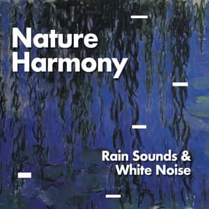 Nature Harmony - Rain Sounds & White Noise