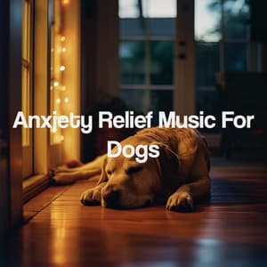 Anxiety Relief Music For Dogs - Musica Relajante