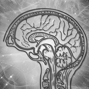 Beta Waves - Brainwave Music Architect