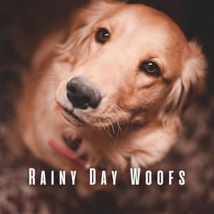 Rainy Day Woofs: Chill Music for Dogs by the Ocean - Wave and Ocean sounds