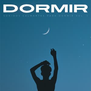 Dormir: Sonidos Calmantes Para Dormir Vol. 1 - Lluvia Relajante para Dormir